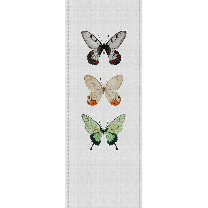 Fotomural Walls by Patel - Buzz panels 2 - photo wallpaper panel in natural linen structure with colourful butterflies - Grey, Green