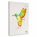 Humingbird by Buttafly, impresión en lienzo con colibrí de colores