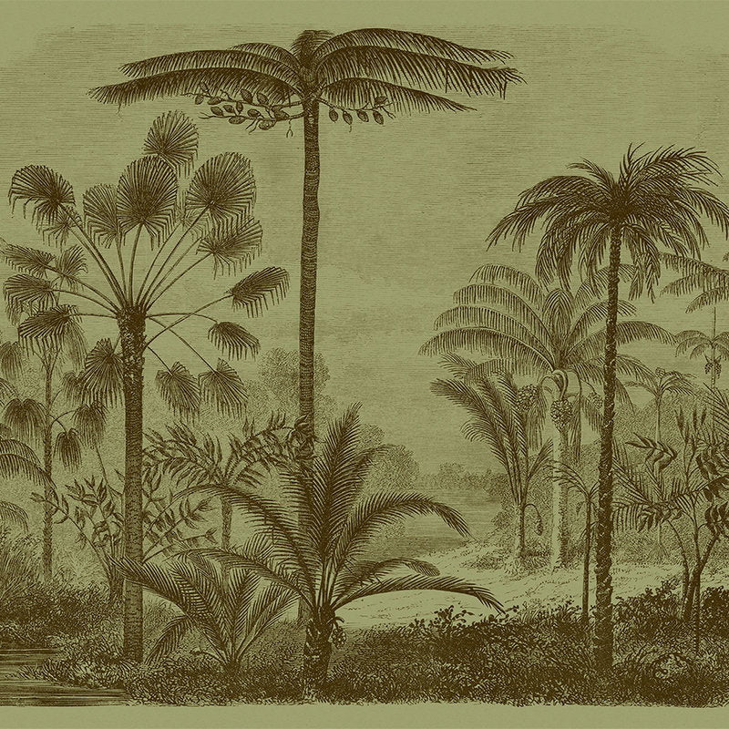 Fotomural Walls by Patel - Jurassic 1 - Photo wallpaper jungle motif copper engraving green in cardboard structure - Brown, Green