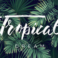 Fotomural Panel XXL 5 - Graphic wall mural 'Tropical Dream' lettering on premium smooth non-woven