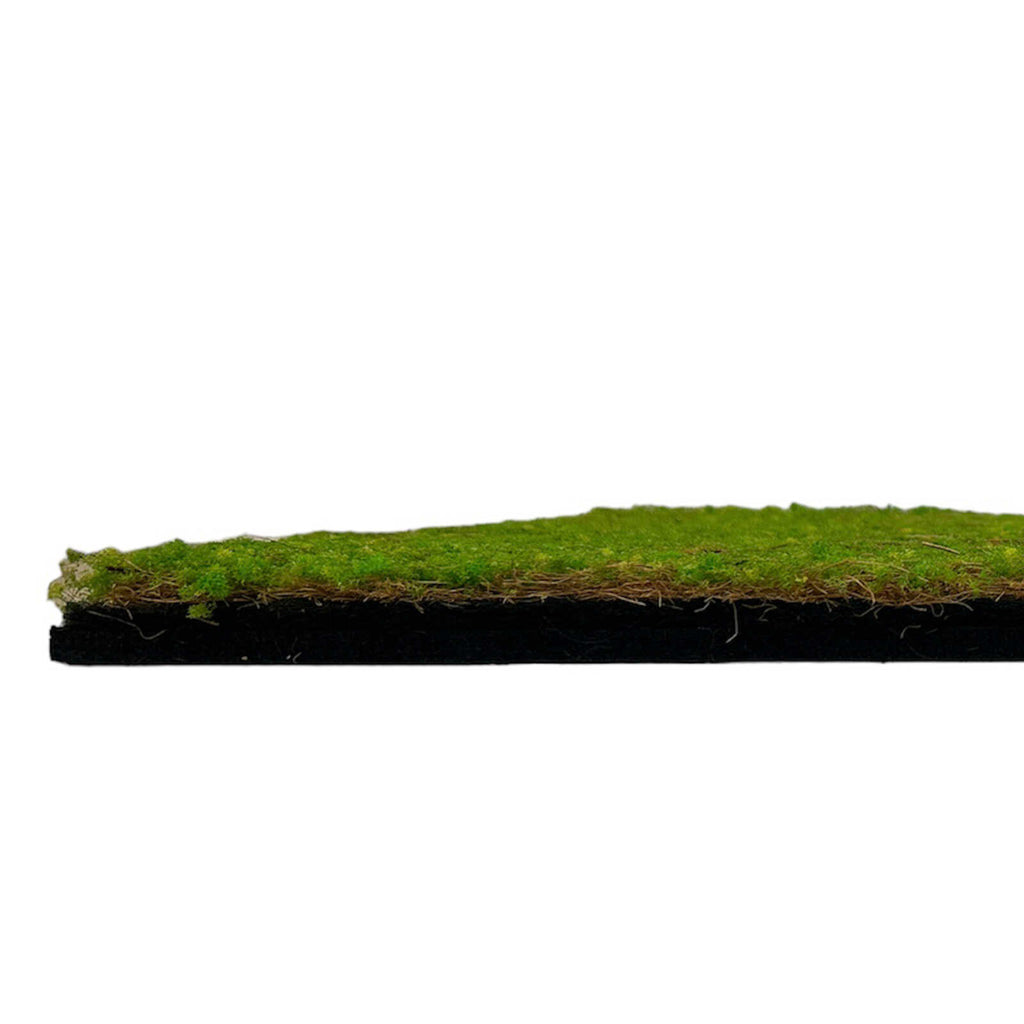 Panel Vegetal Light Green Coconut - Modular Wall - Foto 5