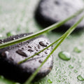 Fotomural Blades of Grass with Wellness Stones Wallpaper - Premium Smooth Non-woven - XXL 2
