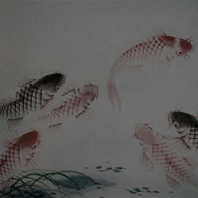 Fotomural Walls by Patel - Photo wallpaper Asia Style with koi pond - grey