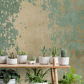 Fotomural Walls by Patel - Vintage Wall 1 - used look sage green & gold plaster wallpaper