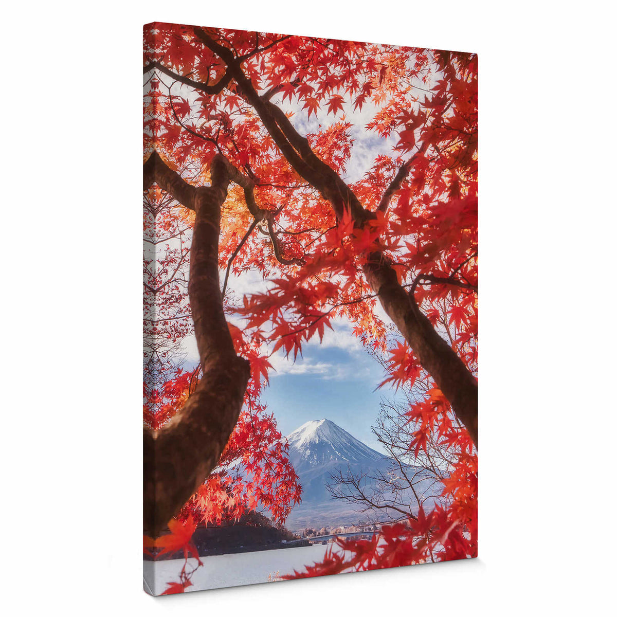 Cuadro en lienzo Arce japonés en primavera con Fuji