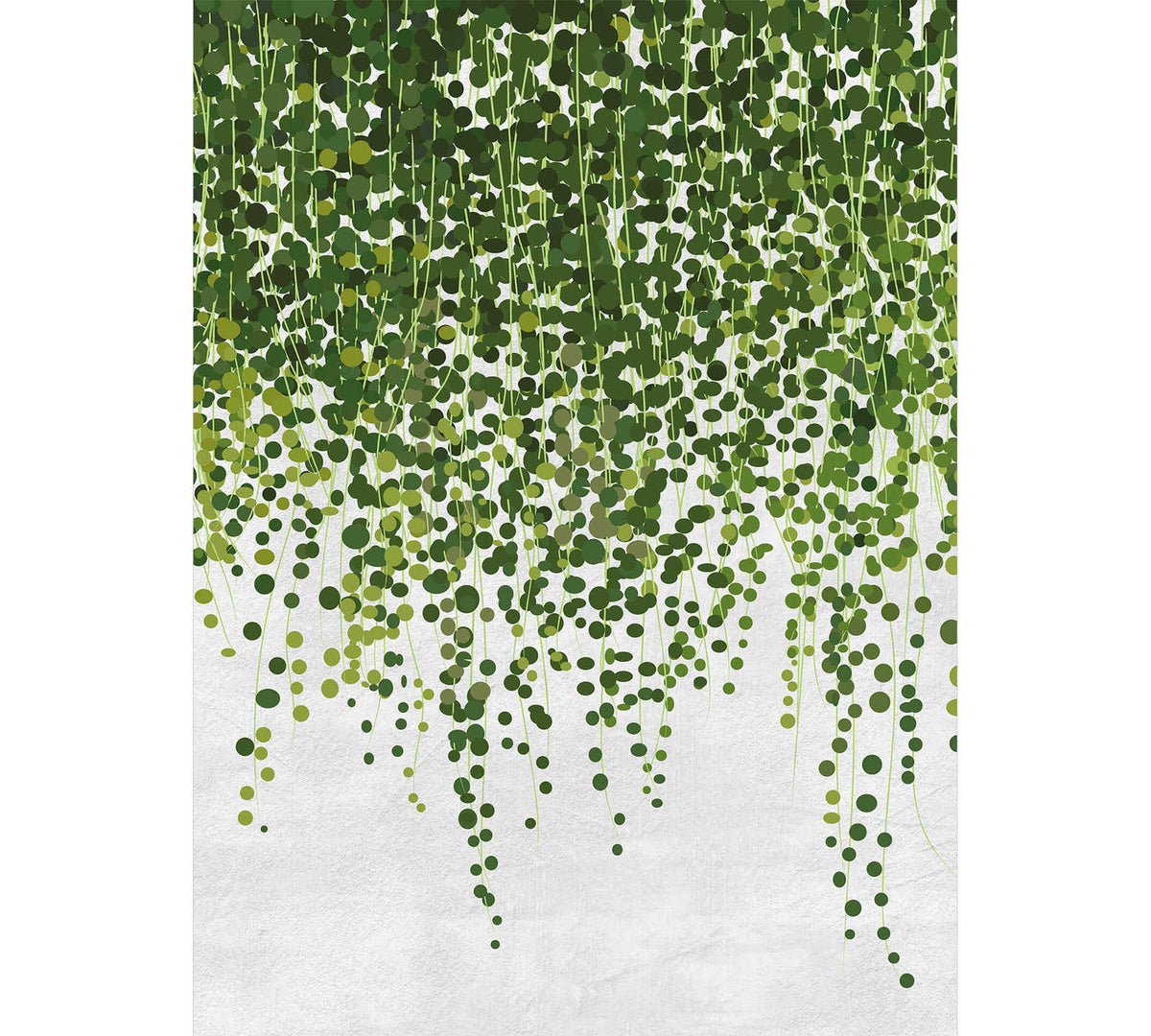 Fotomural Photo wallpaper Hanging Plants - Green, Grey - DD Motive 2