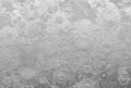 Fotomural Photo wallpaper silver flowers - grey - DD Motive 2