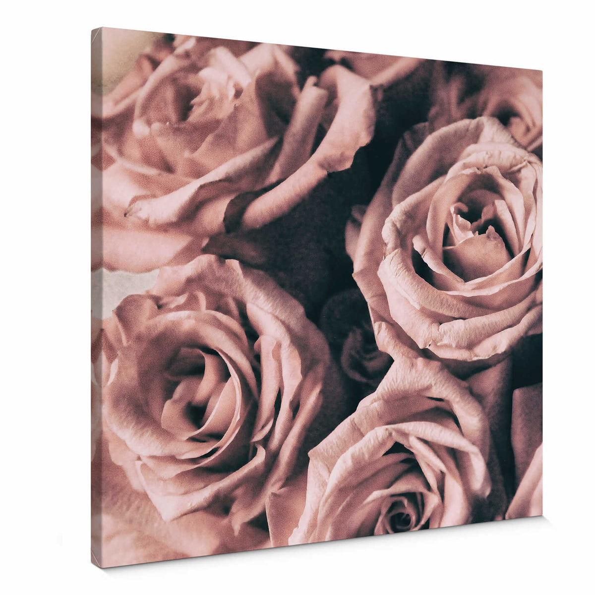 Cuadro en lienzo Estilo Vintage Rosas Motivo Floral