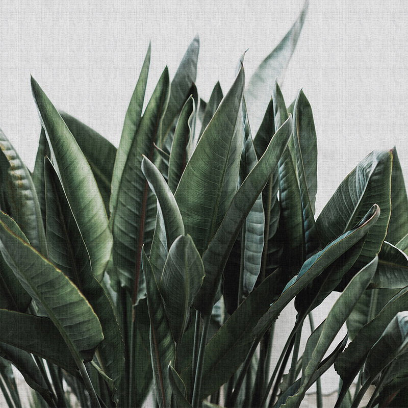 Fotomural Walls by Patel - Urban jungle 2 - palm leaves mural, natural linen structure exotic plants - grey, green