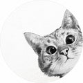 Fotomural Photo wallpaper round cat face in black & white - DD Motive 2