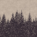 Fotomural Photo wallpaper forest fir trees in drawing style - Walls by Patel