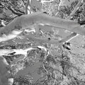 Fotomural Treetop - black and white deciduous tree & sky mural - AP Digital 1