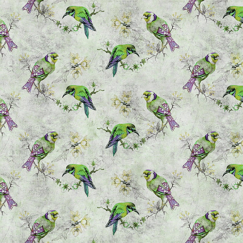 Fotomural Walls by Patel - Love birds 2 - Colourful photo wallpaper in scratchy structure with sketched birds - Grey, Green
