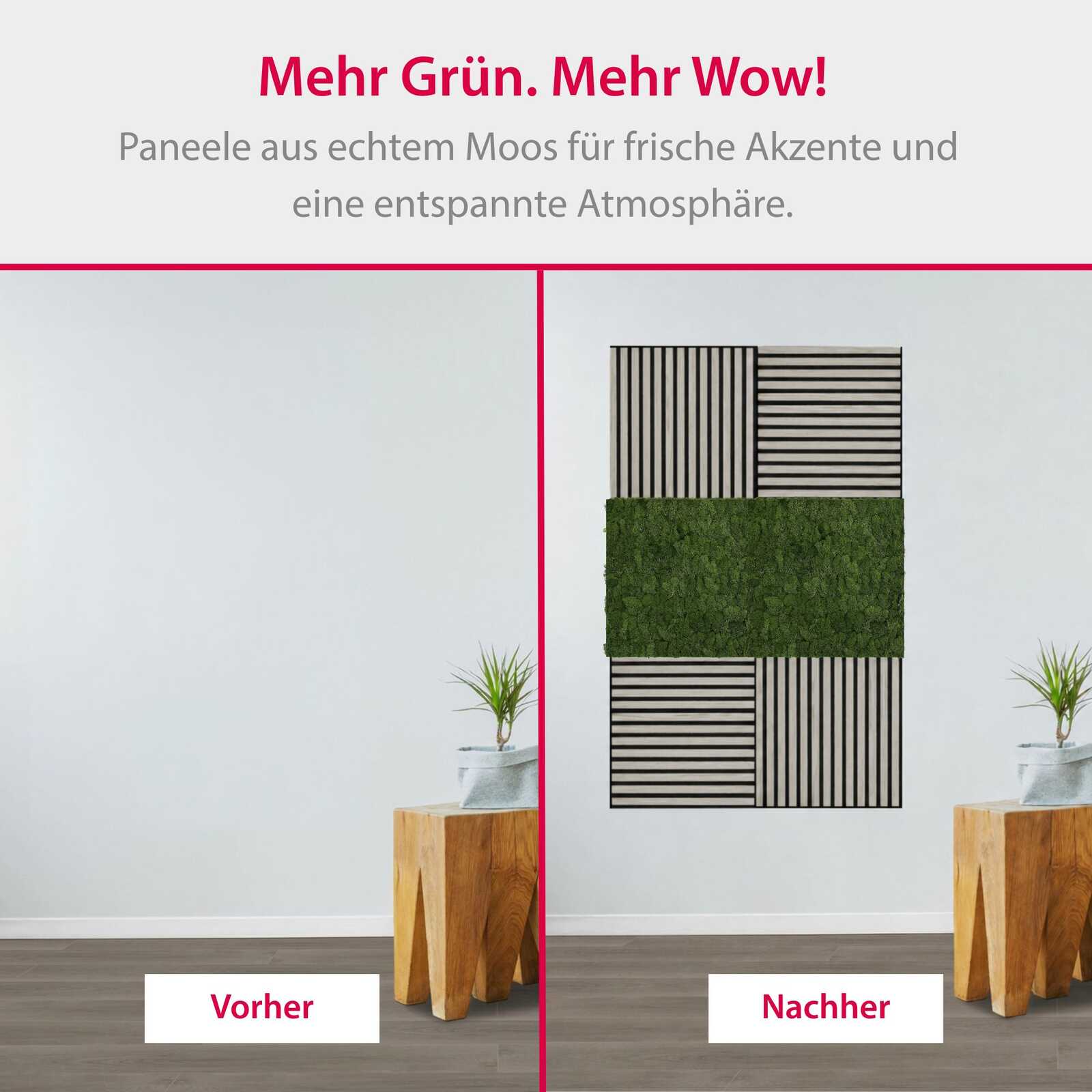 Panel de Musgo Natural Nature Green - Modular Wall - Foto 5