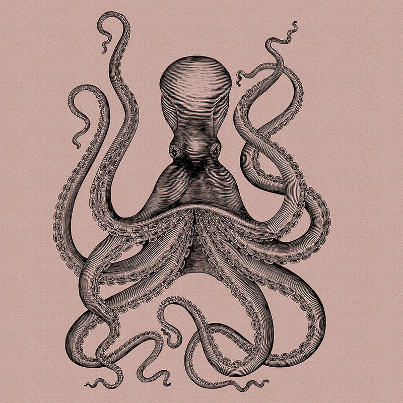 Fotomural Walls by Patel - Jules 1 - Photo wallpaper with octopus in drawing & retro style in cardboard structure - Pink, Black