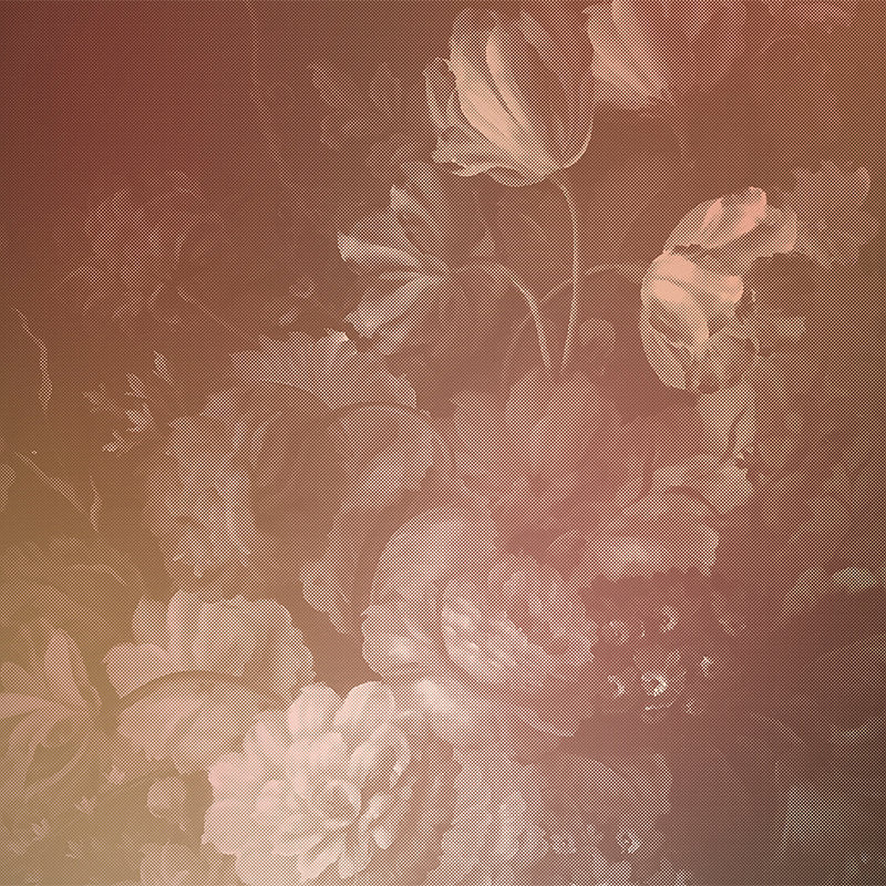 Fotomural Walls by Patel - Dutch pastel 3 - Dutch Flower Style Bouquet Wallpaper - Pink, Red