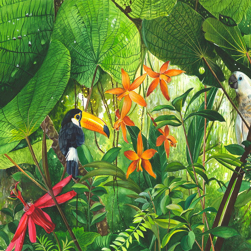 Fotomural Photo wallpaper Jungle with Toucan - Premium Smooth Non-woven - XXL 3