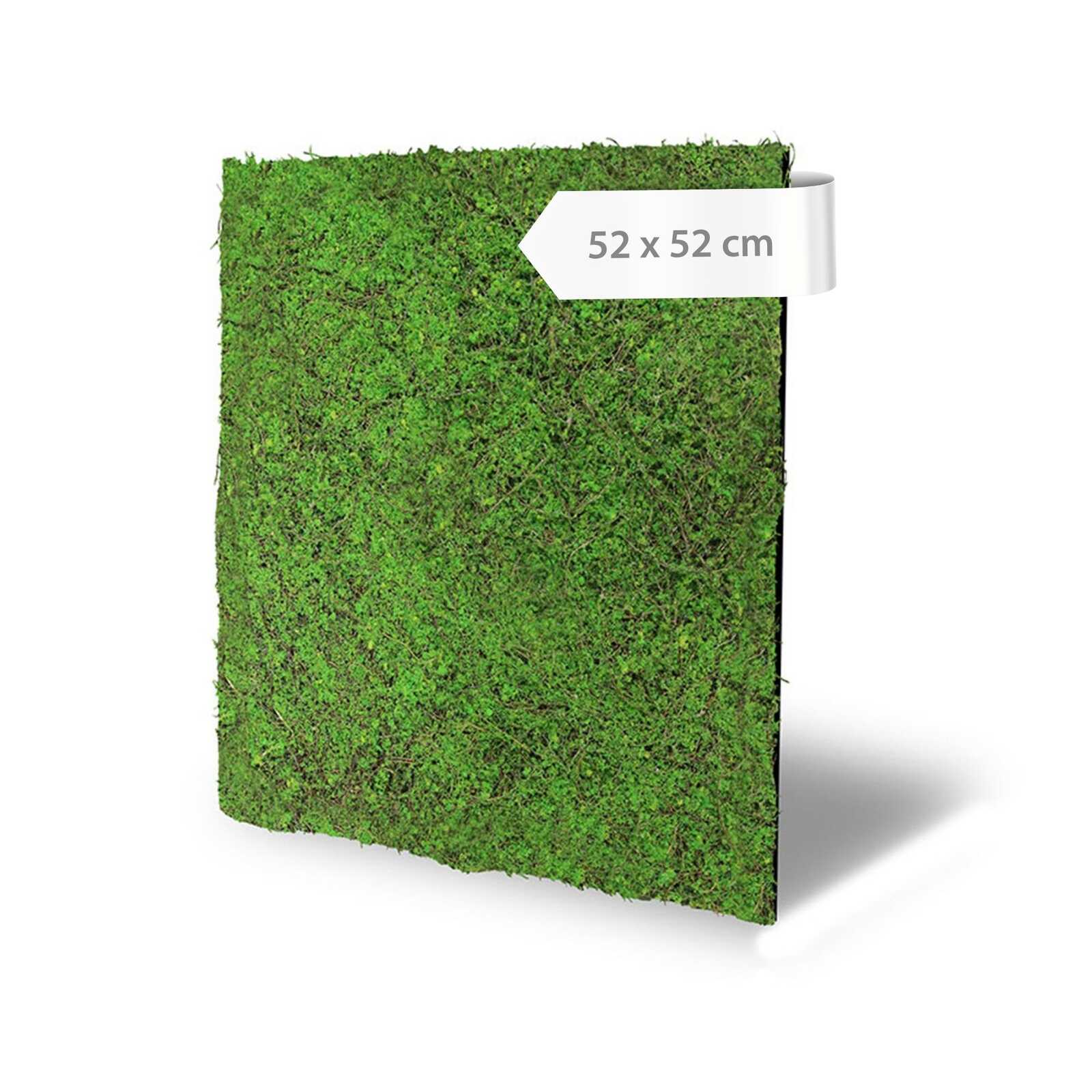 Panel Vegetal Forest Green Ancient Tree - Modular Wall - Foto 6