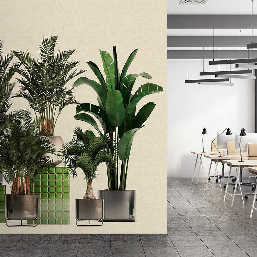 Fotomural Walls by Patel - Plant Shop 1 - nature photo wallpaper potted plants palms