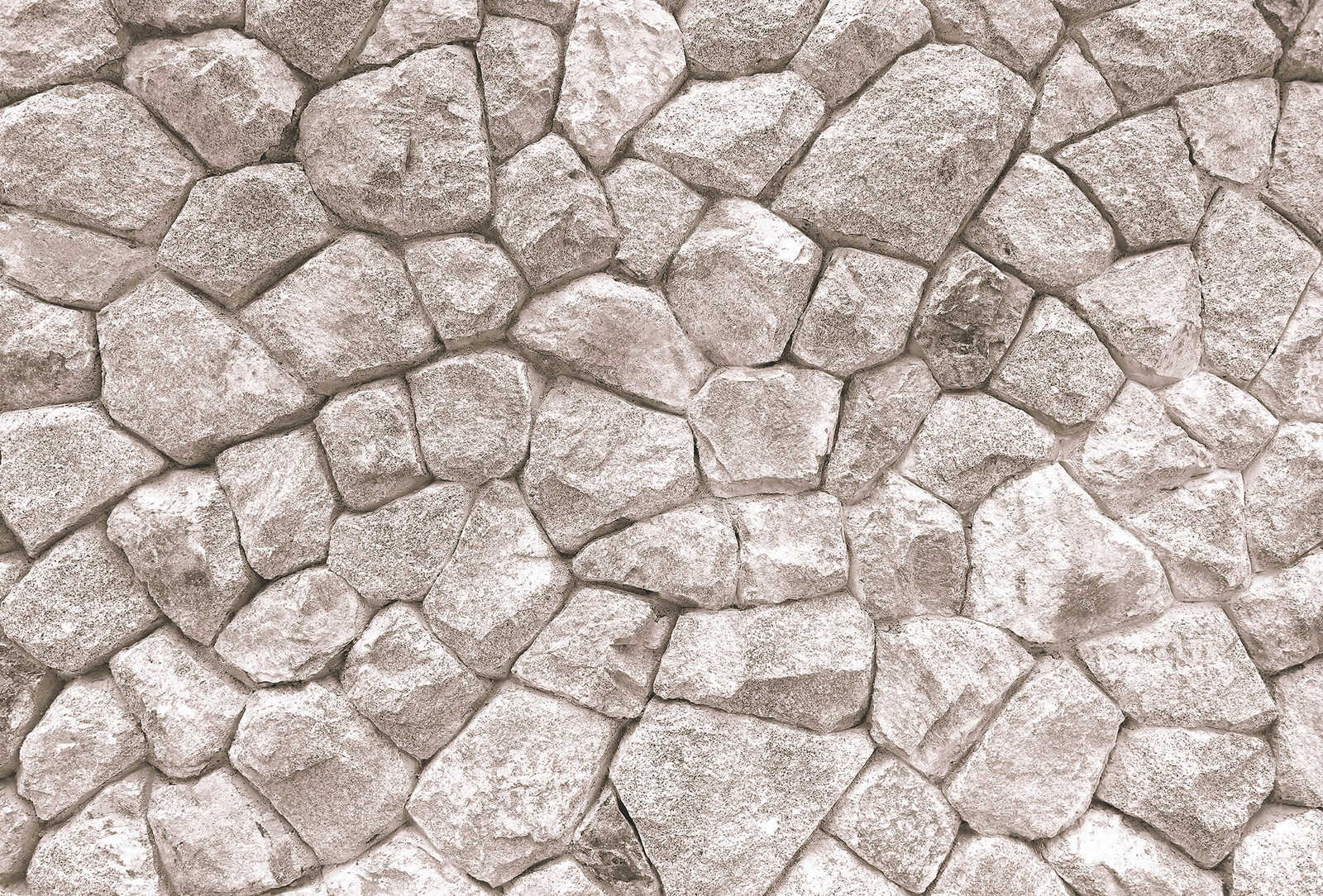 Fotomural Photo wallpaper stone wall 3D look - grey, white - DD Motive 2
