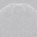 Fotomural Walls by Patel - Photo wallpaper dandelions tree - grey, white