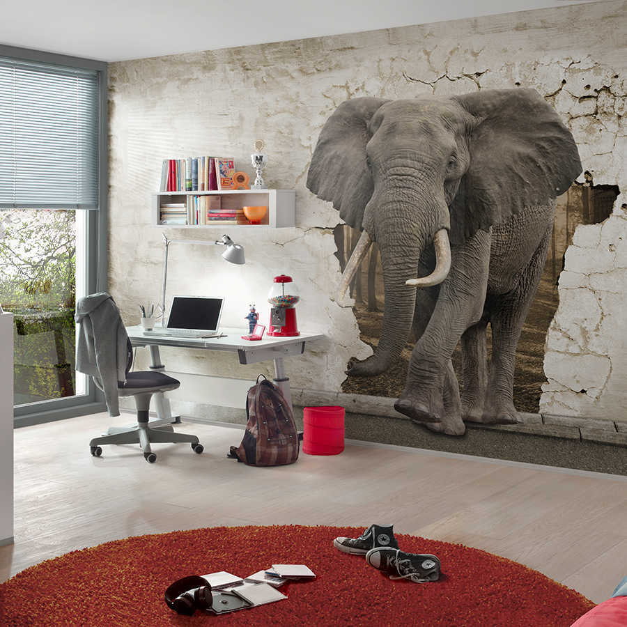 Fotomural Panel XXL 5 - Animal motif mural elephant in the wall on premium smooth fleece