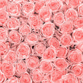 Fotomural Panel XXL 5 - Plants mural pink roses on premium smooth fleece