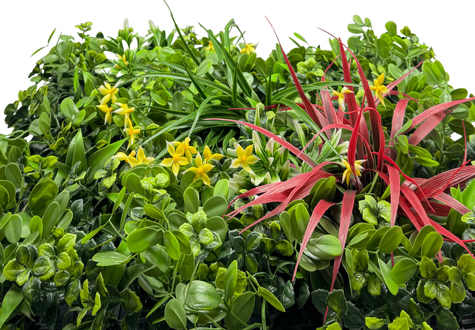 Panel Modular Wall - Pure Jungle Mixed Flora 52 x 52 x 5 cm (13673-1) - Imagen 3
