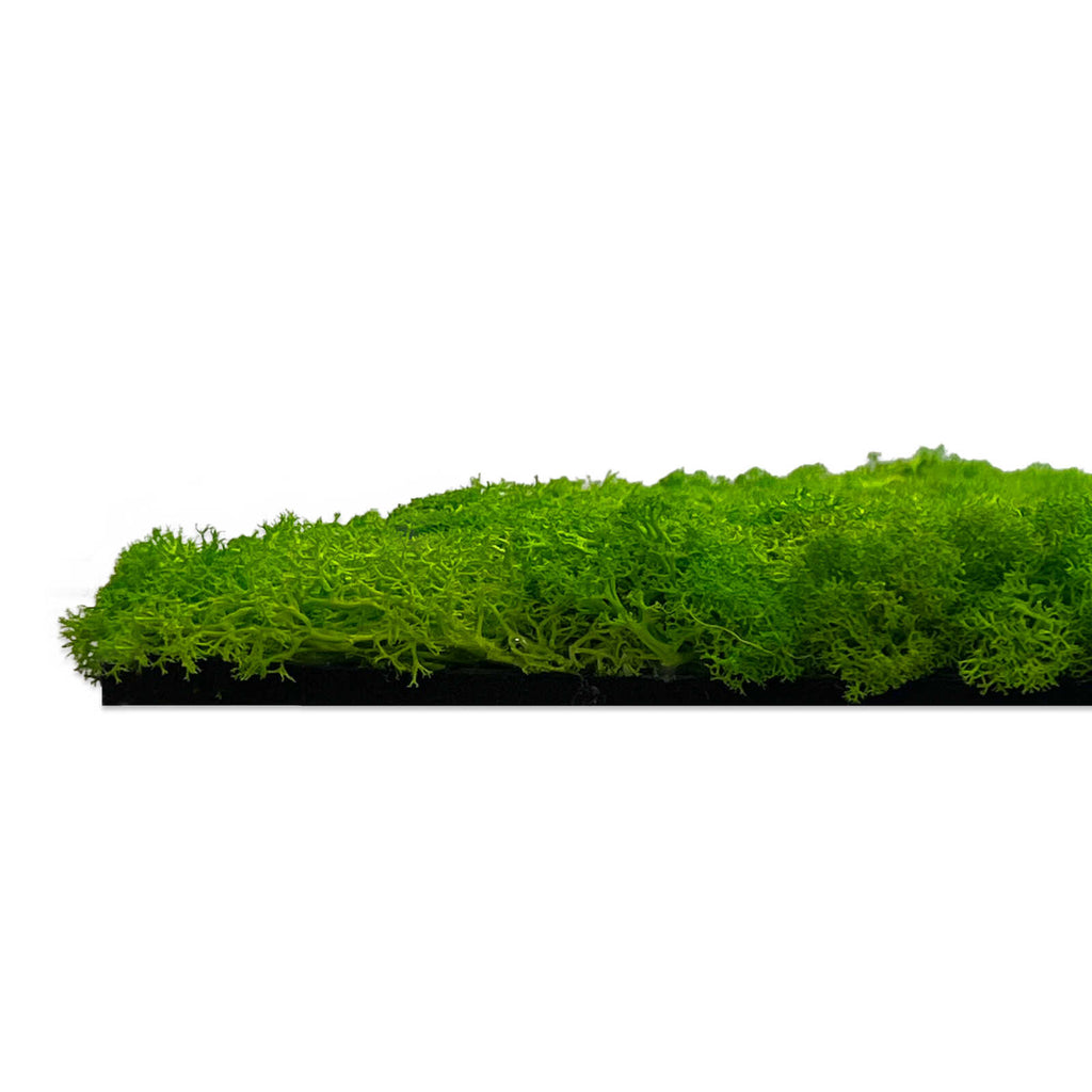 Panel Modular Wall - Bright Green 52 x 52 x 4 cm (13667-7) - Imagen 4