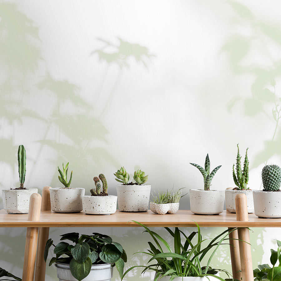 Fotomural Walls by Patel - Shadow Room 3 - nature photo wallpaper green & white, faded design