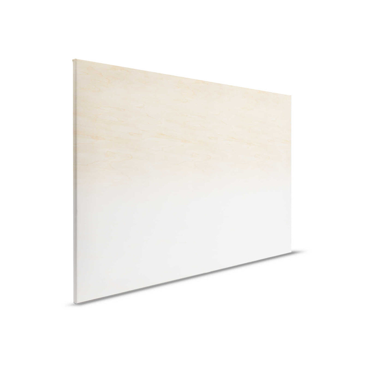 Taller 3 - Lienzo Ombre Beige y Blanco con Veta de Madera