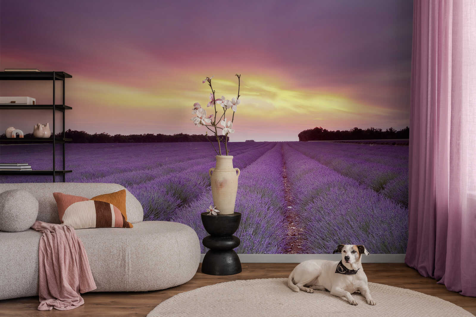 Fotomural Nature Wallpaper Lavender Field in Sunset - Premium Smooth Non-woven - XXL 2