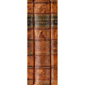 Fotomural XXL 3 - Shakespeare