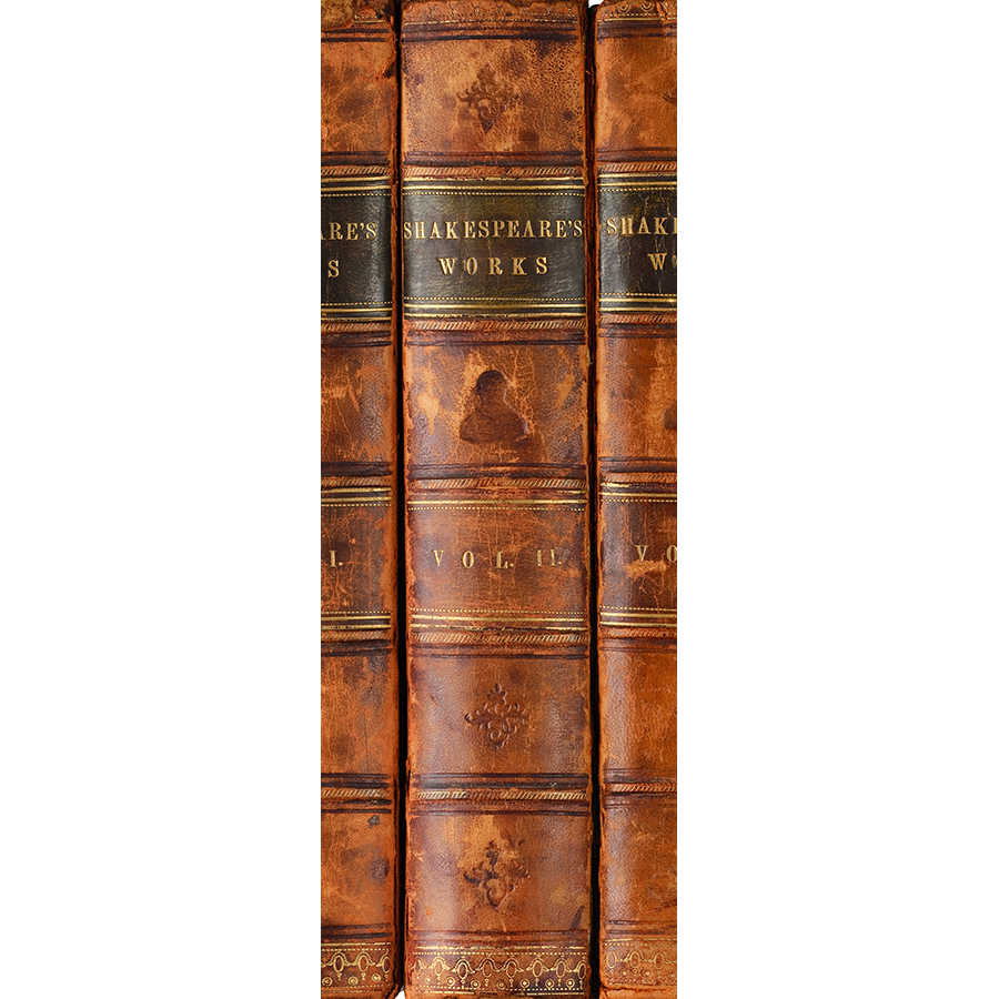 Fotomural XXL 3 - Shakespeare