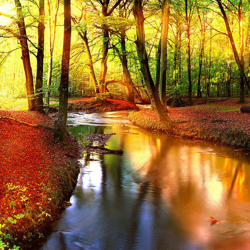 Fotomural Nature Wallpaper River through Deciduous Forest - Premium Smooth Non-woven - XXL 2