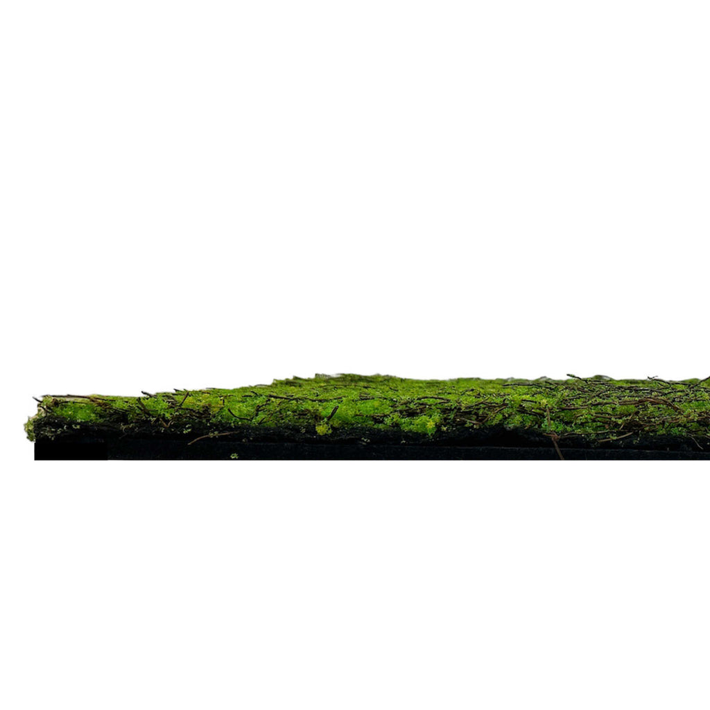 Panel Vegetal Forest Green Ancient Tree - Modular Wall - Foto 5