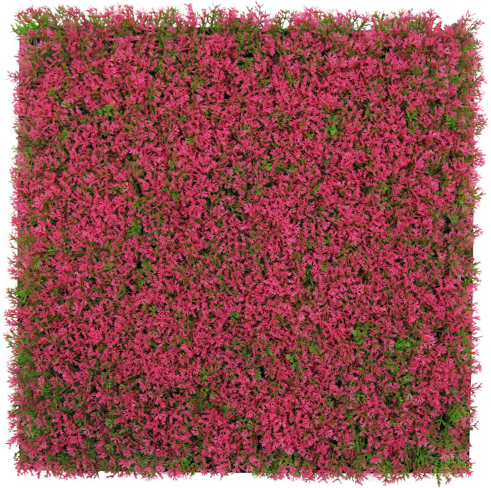 Panel Flora de Diseno Cascade Mixed Flora - Modular Wall - Foto 23