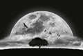 Fotomural Photo wallpaper Moon and Birds - Black, White - DD Motive 2
