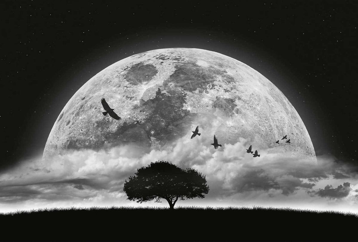 Fotomural Photo wallpaper Moon and Birds - Black, White - DD Motive 2