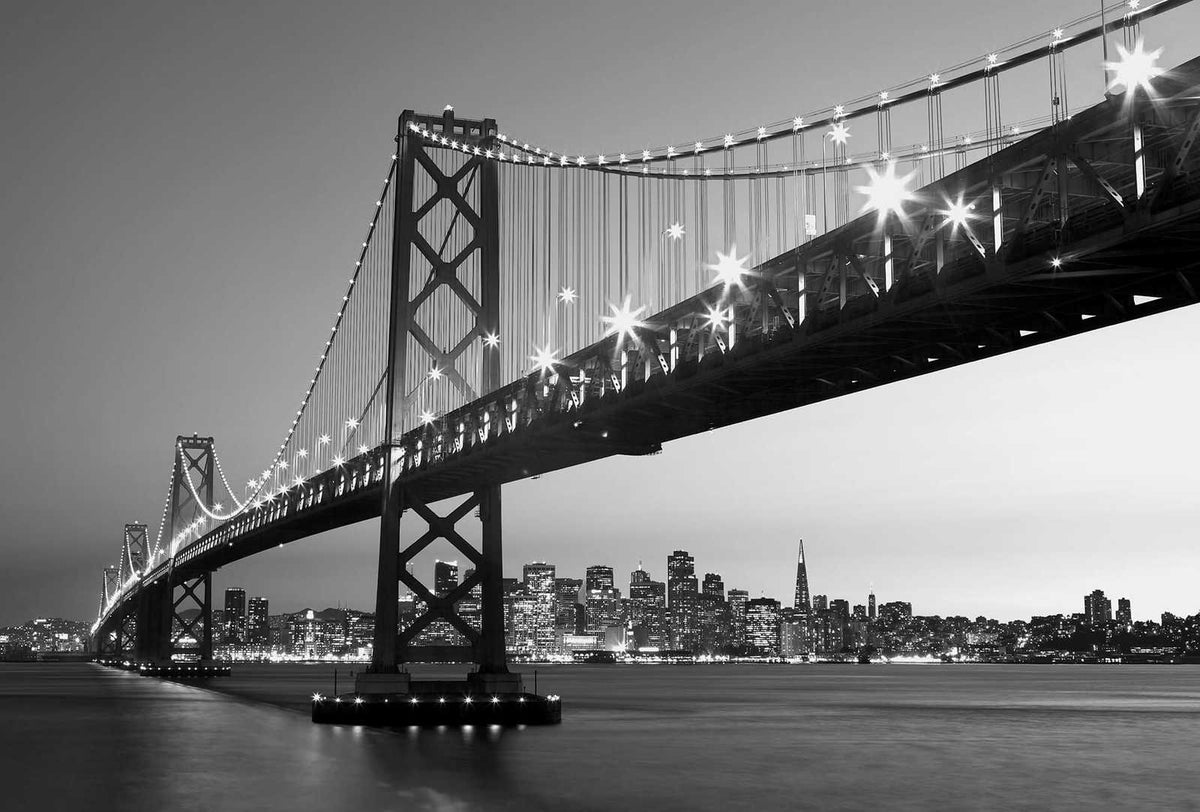 Fotomural Black and white photo wallpaper San Francisco skyline & bridge - DD Motive 2