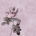 Fotomural Walls by Patel - Pink drawing style rose mural - Pink, Green