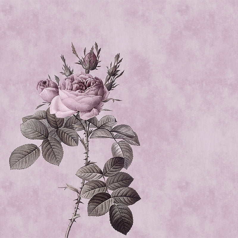 Fotomural Walls by Patel - Pink drawing style rose mural - Pink, Green