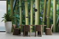 Fotomural Bamboo mural bamboo forest with detail view - AP Digital 1