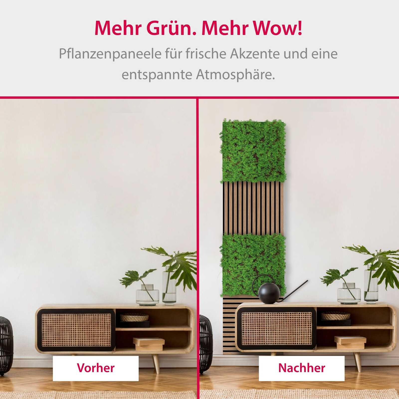 Panel Vegetal Thuja Tea Tree - Modular Wall - Foto 7