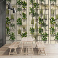 Fotomural Walls by Patel - Plant Shop 2 - photo wallpaper modern plant wall in green & grey