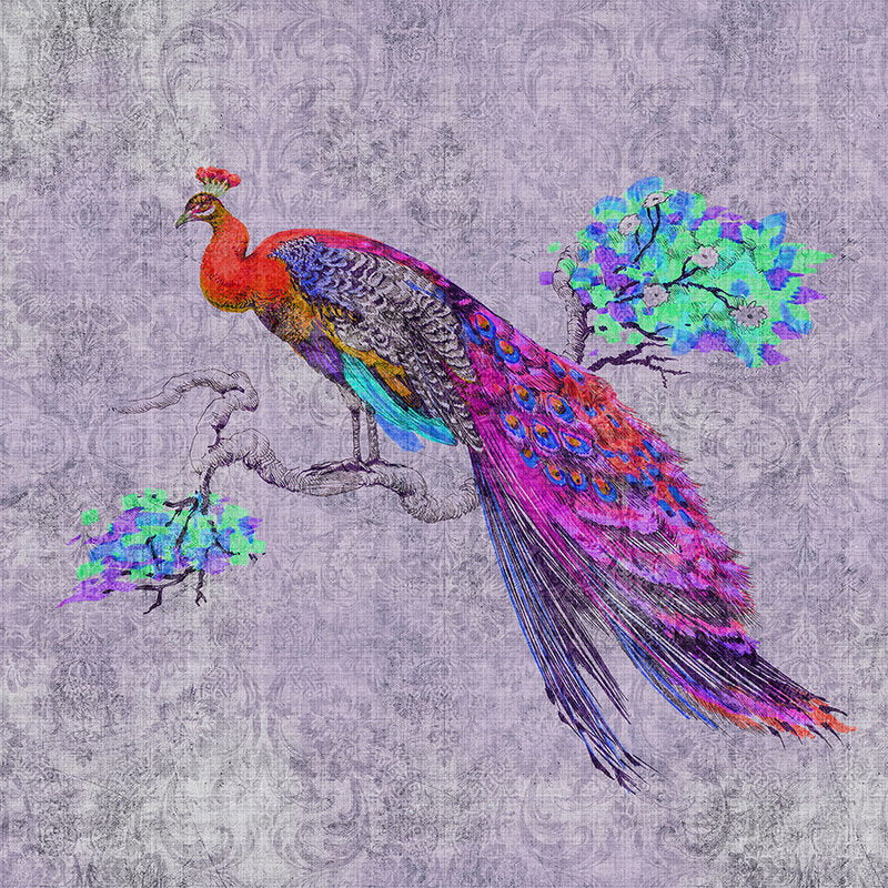 Fotomural Walls by Patel - Peacock 3 - Colourful Peacock Wallpaper - Nature Linen Texture - Blue, Pink