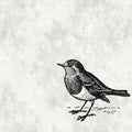 Fotomural Black and white mural with bird - Walls by Patel