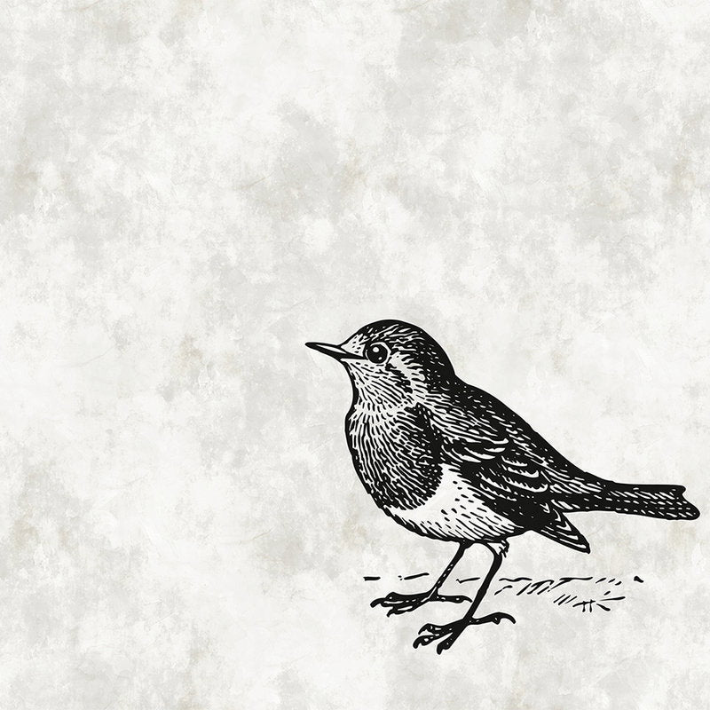 Fotomural Black and white mural with bird - Walls by Patel