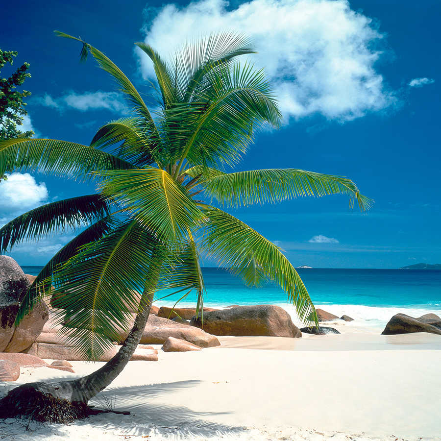 Fotomural Panel XXL 5 - Beach mural palm tree with blue sea on premium smooth vinyl