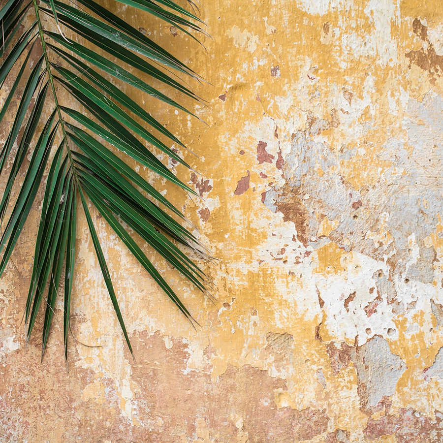 Fotomural Panel XXL 5 - Nature mural palm leaf in front of stone wall on premium smooth fleece